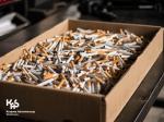 Setki nielegalnych papierosów umieszczone w kartonowym pudle.